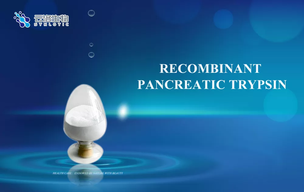 Kakšna je vloga encimov?