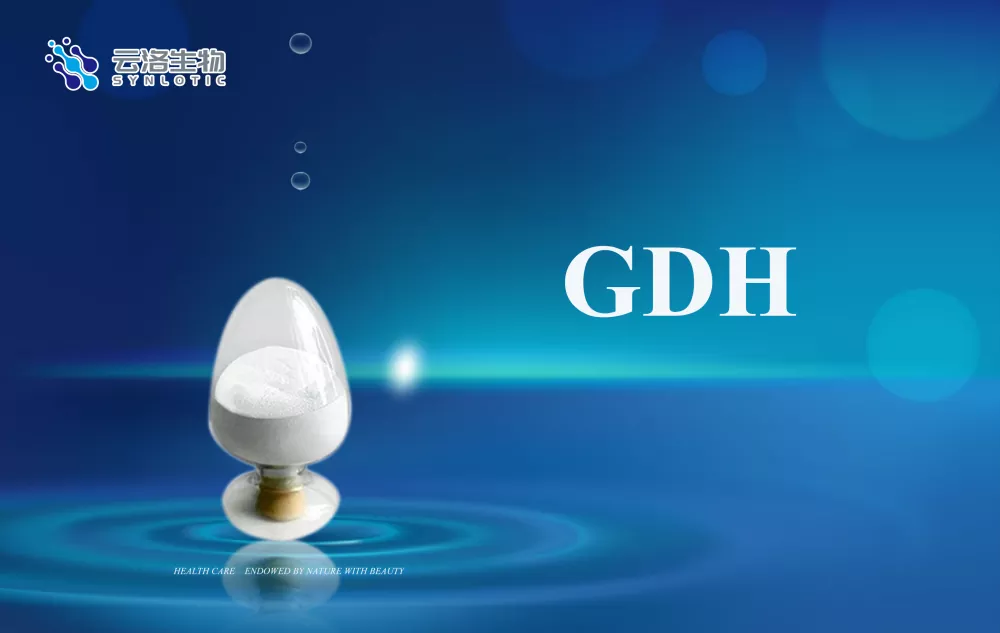 Kateri so osnovni koncepti encimov?