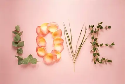 520 sezona spovedi丨Ste pripravljeni na spoved