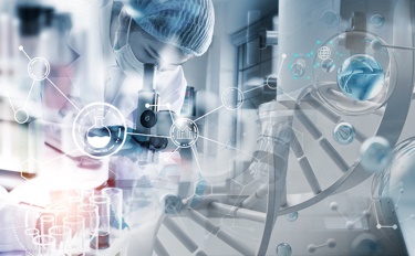 Izbira za lepoto: globoka povezava med kozmetiko in trajnostnim življenjem