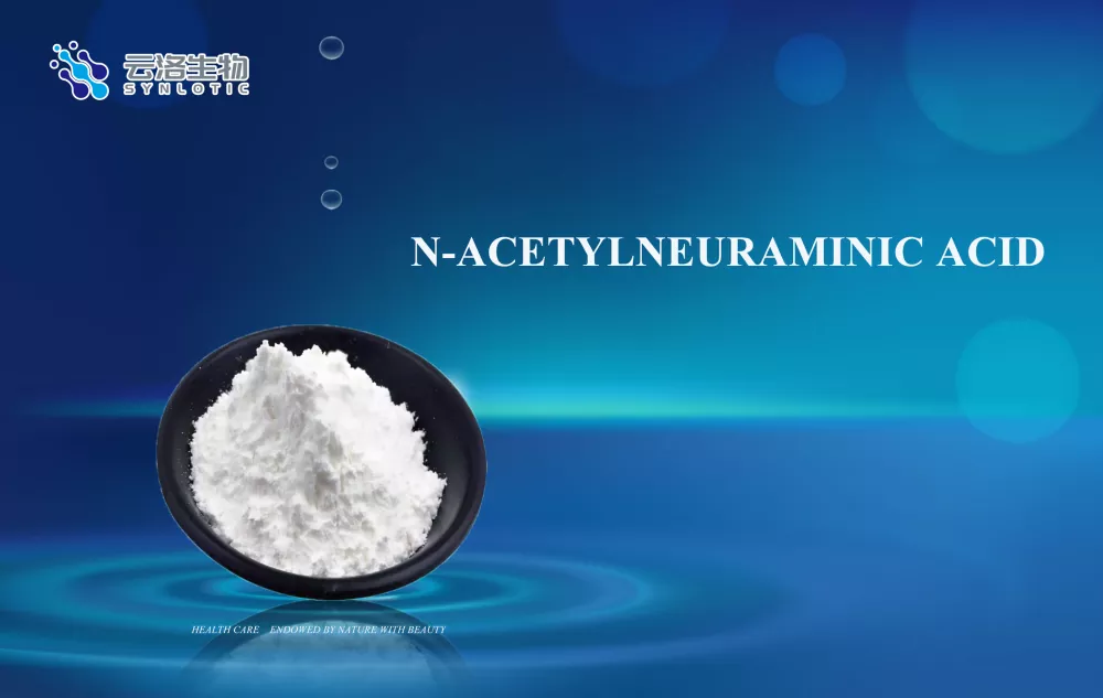 N-acetilneuraminska kislina